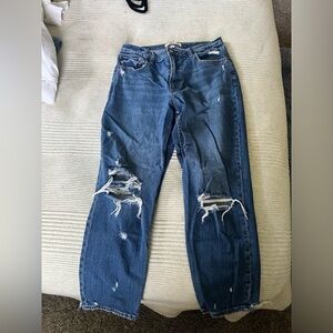 Abercrombie & Fitch Curve Love Mom Jeans